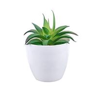 Artificial Plants Mini Artificial Plants Green Cactus Small Succulent Plastic Plants Fake Aloe Flower Potted Ornaments for Table Decoration Craft Bonsai Pine Tree (Color : F)