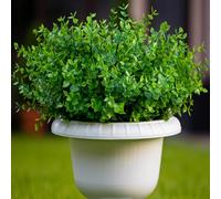 Artificial Plants Outdoor Fake Boxwood Shrubs - 16 Bundles Artificial Greenery Stems UV Resistant No Fade Faux Plastic Flowers for Vases Farmhouse Garden Porch Patio Decoration Indoor Wedding (Green)