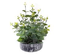 Artificial Plants Potted Real Looking Small Faux Plant with Rustic Black Cement Planter for Kitchen Office Desk Bookshelf Decor (Eucalyptus Plant)