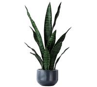 Artificial Plants Sansevieria Snake Plant with Black Plastic Planter Greenery Perfect Faux Agave Fake Plants in Pot for Home Office Indoor and Outdoo Décor (22" Green)