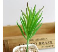 Artificial Plastic Echeveria Succulent Plants for Interior Decoration Home Creative Projects Office Space Enhancement Tasks (Green bluegrass)