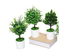 Artificial Pothos Bonsai with Money Leaf Pattern for Living Room Indoor Tabletop Shelf Greenery Display (E)