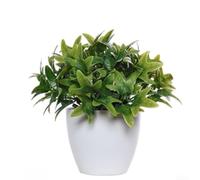 Artificial Pothos Bonsai with Money Leaf Pattern for Living Room Indoor Tabletop Shelf Greenery Display (G)
