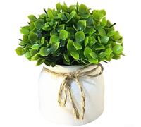 Artificial Potted Green Plant Combining Pine Needle Texture Eucalyptus Delicacy Mimosa Softness Copper Money Grass Vibrancy and Maple Leaf Detail (B)