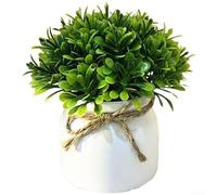 Artificial Potted Green Plant Combining Pine Needle Texture Eucalyptus Delicacy Mimosa Softness Copper Money Grass Vibrancy and Maple Leaf Detail (G)