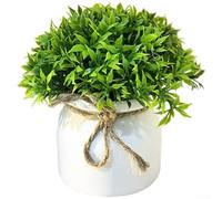 Artificial Potted Green Plant Combining Pine Needle Texture Eucalyptus Delicacy Mimosa Softness Copper Money Grass Vibrancy and Maple Leaf Detail (E)