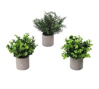 Artificial Potted Plants 3 Pack Realistic Eucalyptus Decor for Indoor Spaces Modern Plastic Pots No Watering or Pruning Needed Child and Pet Safe Green 25x8cm for Home Office(set1)
