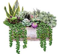 Artificial Pre-Made Succulent Arrangement Assorted Faux Succulent Plants in Rustic Rectangle Wooden Planter Succulents Garden Centerpiece for Table Centerpiece Windowsill Shelf Mantel Greenery Decor