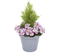 Artificial Purple Geranium Grey Patio Planter 60cm/24in