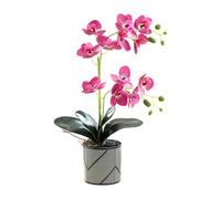 Artificial Purple Two-pronged 12 Petals Orchid in Pot White Phalaenopsis Decoration Flower Realistic Fake Orange Orchid Potted White Simulation Butterfly Decoration (purple)