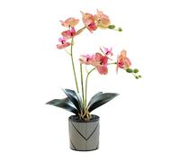 Artificial Purple Two-pronged 12 Petals Orchid in Pot White Phalaenopsis Decoration Flower Realistic Fake Orange Orchid Potted White Simulation Butterfly Decoration (striped pink)