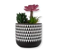 Artificial Pyramid Plant In Black & White Pot