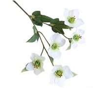 Artificial Ranunculus Silk Flowers With 5 Heads For Wedding Photography And Home Use, Including Flexible Wire Stems For Easy Arrangement(White)