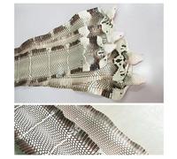 Artificial Rearing Nature Genuine Ture Snake Skin Leather Raw Material Whole Piece