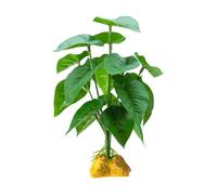 Artificial Reptiles Plant for Climbing Hiding Place Terrarium Plastic Jungle False Grass Habitat Ornaments Realistic Reptiles Grass