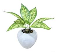 Artificial Sansevieria Plant 36cm Realistic 7-Fork Leaves(H)