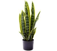 Artificial Sansevieria Snake Plant / Mother-in-laws Tongue - 57cm Tall