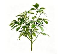Artificial Seven Point Leaf Plant 27.5cm Realistic Green(White Border)
