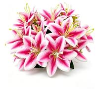 Artificial Silk Flower Bouquet 5-Head Realistic Home Decor(Peach Color)