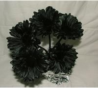 Artificial Single Stem Gerbera with Big Bloom - very dramatic - home garden (12 Pack, Black)