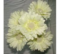 Artificial Single Stem Gerbera with Big Bloom - very dramatic - home garden (12 Pack, Cream / Ivory)