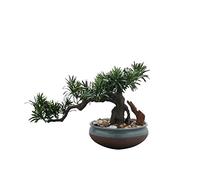 Artificial Small Bonsai Tree Artificial Bonsai Artificial Welcome Pine Tree Living Room Porch Fake Plants Zen Potted Tea Room Porch Ornaments 11.4 Inches Living Room Fake Plant Greenery Decor