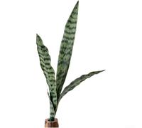 Artificial Snake Plant PVC Fake Greenery Realistic Leaves