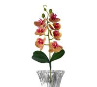 Artificial Spring Flowers | Phalaenopsis Orchid Realistic and Aesthetic Appearance | Fake Plant Floral Arrangements | Indoor Outdoor Home Bathroom Living Room Office Country House