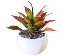 Artificial Succulent Plant, 12cm Fake Potted Plants for Home Decor, Realistic Plastic Greenery for Desk Shelf Office(Red)