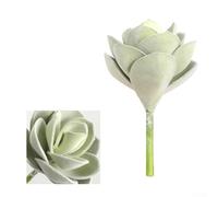 Artificial Succulent Plant 6.3 Inch Realistic Flocked Pachyphytum Fake Greenery for Home Office Desk Decor Bookshelf Terrarium DIY Crafts No Maintenance(Green)