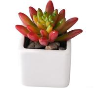 Artificial Succulent Plant Arrangement Set for Home Wedding Office Decor Faux Succulents Plastic Material Compact Size (red)