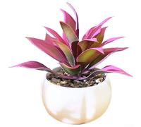 Artificial Succulent Plant Simulation Potted Plants Greenery For Home Decor(Pink)