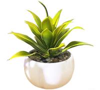 Artificial Succulent Plant Simulation Potted Plants Greenery For Home Decor(Yellow)
