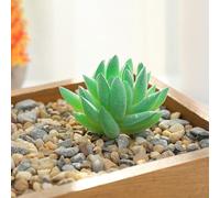 Artificial Succulent Plants, 1 Pack Flocked Fake Lotus Home Decor for DIY Garden Office Study Decoration, Non-Wilting, Low-Maintenance, All-Year-Round Use