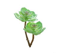 Artificial Succulent Plants, 1 Pack Flocked Fake Lotus Home Decor for DIY Garden Office Study Decoration, Non-Wilting, Low-Maintenance, All-Year-Round Use