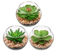 Artificial Succulent Plants Assorted Mini Fake Succulents Plants Small Faux Plant Succulents in Glass Pots Decoration for Home Bathroom Bedroom Table Office Desk Indoor Shelf Decor Set of 3