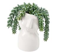 Artificial Succulent Plants Decorative Fake Plants in Ceramic Pots Realistic String of Succulent Plants Faux Plant Indoor for Home Office Kitchen Bathroom Desk Shelf Décor