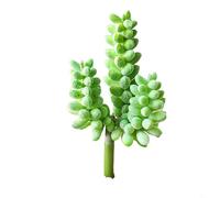 Artificial Succulent Plants PVC PE Fake Lotus Floral Décor, Flocked Design for Home, Office, Garden, DIY Arrangement