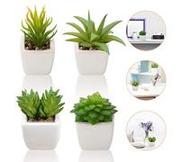 Artificial Succulent Plants, Set of 4 Small Fake Plants Mini Potted Succulent Plants with White Ceramic Pots, Decorative Fuax Plant for Home House Table Balcony Office indoor Outdoor Decor Accessories