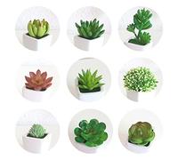 Artificial Succulents Plants,9 pcs Mini Fake Plants Unpotted Plastic Realistic Plants Faux Textured Succulent,for Indoor Outdoor Wall Home Garden Porch Decoration Bathroom (without flower pot)