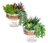 Artificial Succulents Plants Set of 2 Fake Plant Potted Faux Trailing Succulents in Clear Glass Pots Decorative Assorted Plants for Home Office Bathroom Bedroom Desk Shelf Decoration