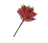 Artificial Succulents Plants Unpotted Faux Succulents Mini Aloe Agave Succulents Plants Air Plant Stems for Floral Arrangement Superior Quality and Creative