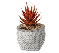 Artificial Succulents Potted Small Plants Fake Decorative in Cement Pot Rattan Look Faux Decorative Succulent Plant for Table Desk Office Home Houseplant Garden Kitchen Décor Gift (Grey)