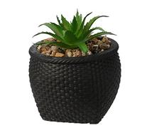 Artificial Succulents Potted Small Plants Fake Decorative in Cement Pot Rattan Look Faux Decorative Succulent Plant for Table Desk Office Home Houseplant Garden Kitchen Décor Gift (Black)