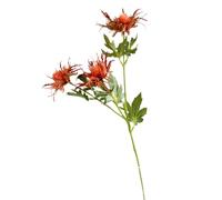 Artificial Thistle Purple Eryngium Long Stems Faux Thistles Bunch Simulation Sea Holly Real Faux Plant For Wedding Bouquet Centerpiece Decor Flower Bundles (Orange, One Size)