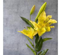 Artificial Tiger Lily Large Stem - Long Silk Flower Spray (Yellow)