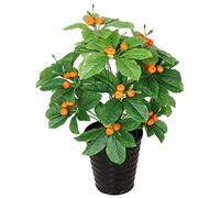Artificial Tree 2.5ft Artificial Plant Fruit Tree Fake Trees in Pot Faux Tree Greenery Plants Indoor Outdoor Decor Decorate (Green c)