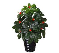 Artificial Tree 2.5ft Artificial Plant Fruit Tree Fake Trees in Pot Faux Tree Greenery Plants Indoor Outdoor Decor Decorate (Green c)