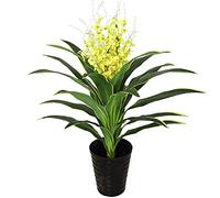 Artificial Tree 3.5ft Artificial Plant Gorgeous Tropical Dracaena Tree,with Pot,Greenery Plants Indoor Outdoor Decor Decorate (D)