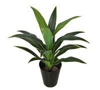 Artificial Tree 3.5ft Artificial Plant Gorgeous Tropical Dracaena Tree,with Pot,Greenery Plants Indoor Outdoor Decor Decorate (D)